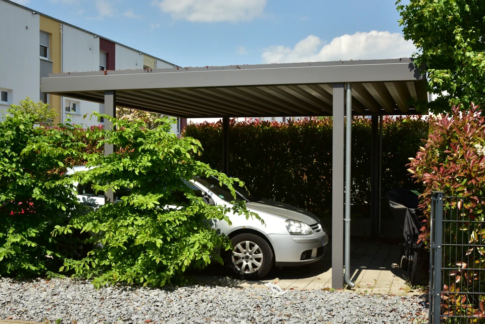 Jardin paysager avec pergola métallique arquée supportant des rosiers grimpants aux fleurs blanches et roses